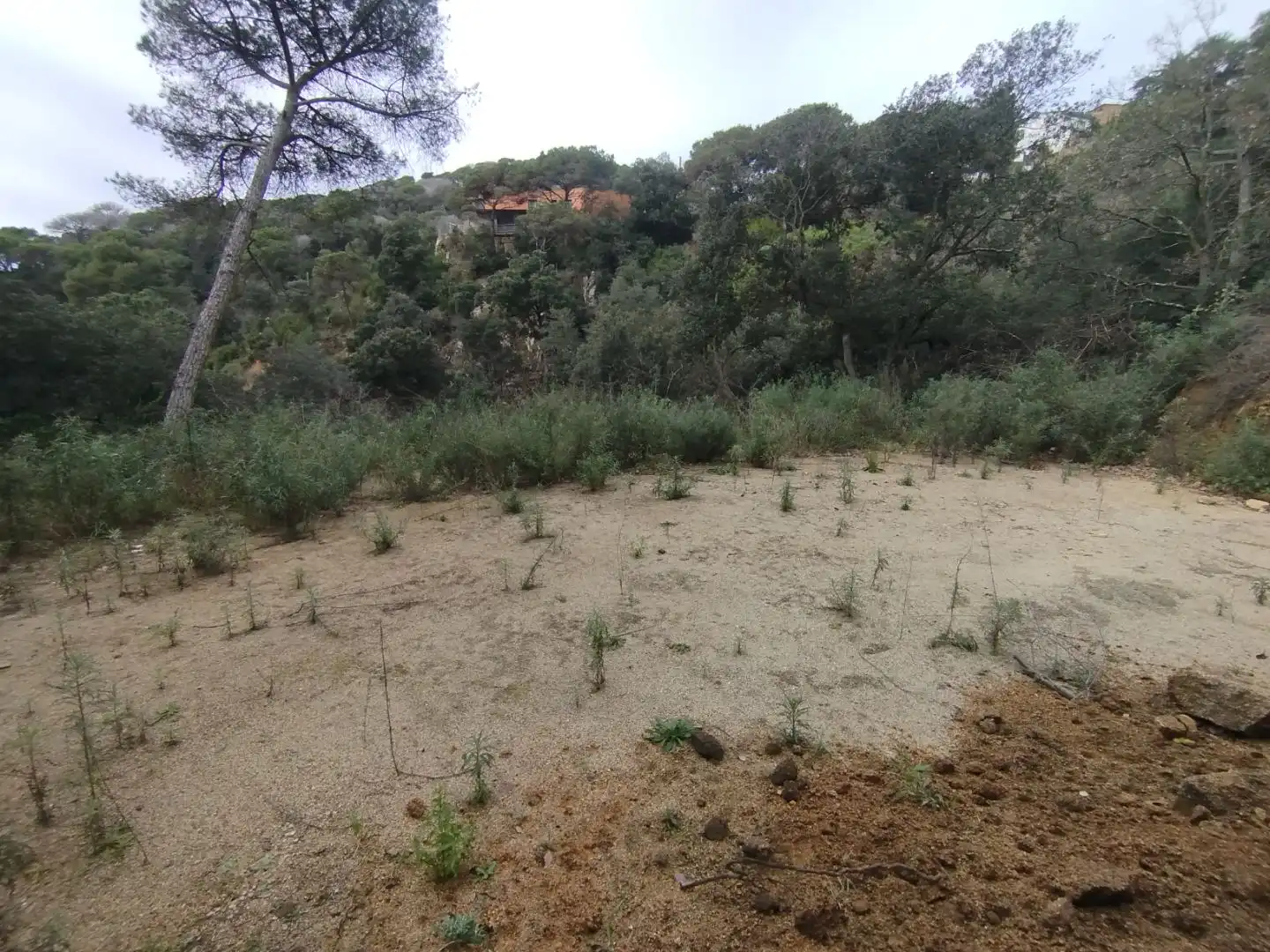 Residential land for sale in Can massuet 5, imagen 3