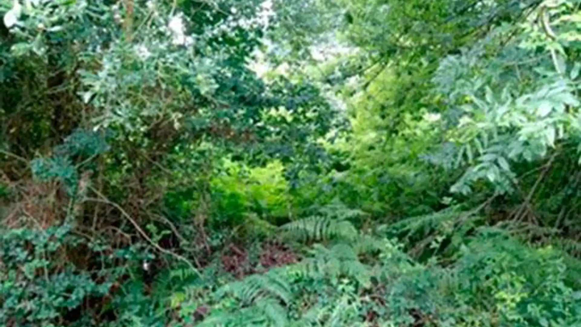 Residencial en venda en Zamudio