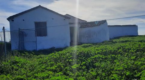 Foto 3 de Finca rústica en venda a Camino del Caracol, Santisteban del Puerto, Jaén
