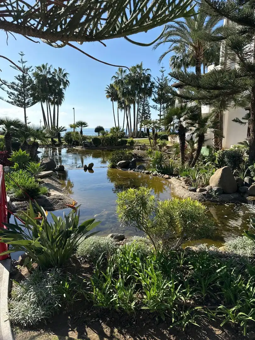 Jardín de Apartamento en venta en Marbella con Calefacción, Terraza y Trastero