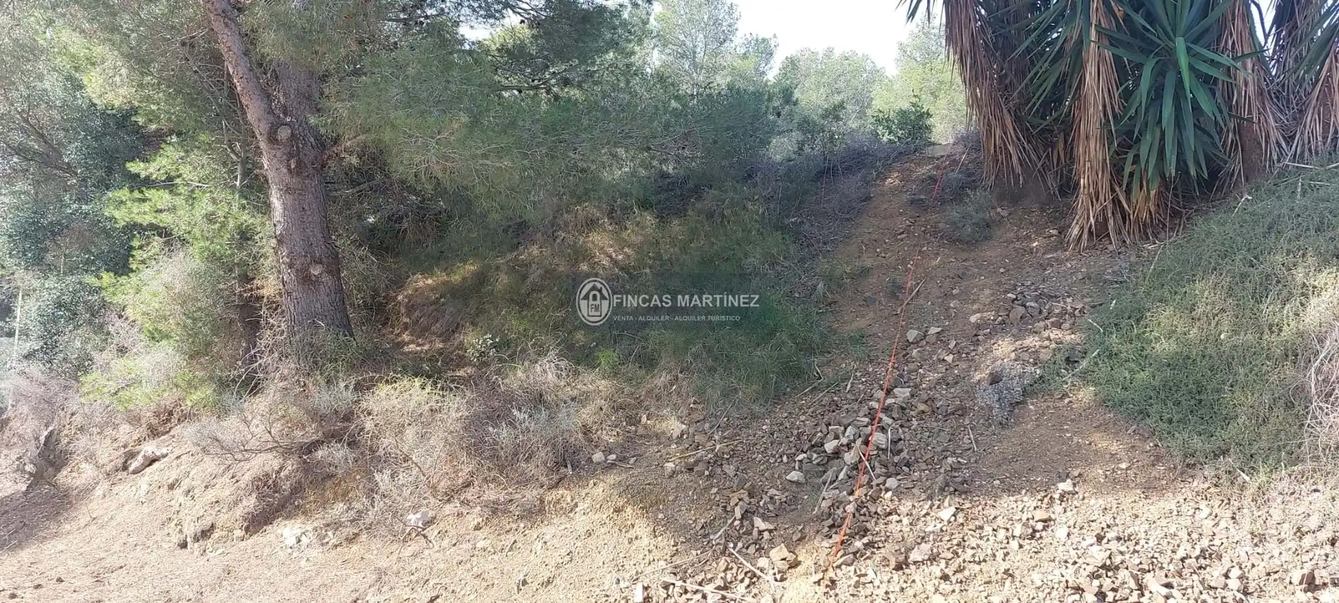 Terrenys i solars en venda a urbanizacion mar de riudecanyes, imagen 19