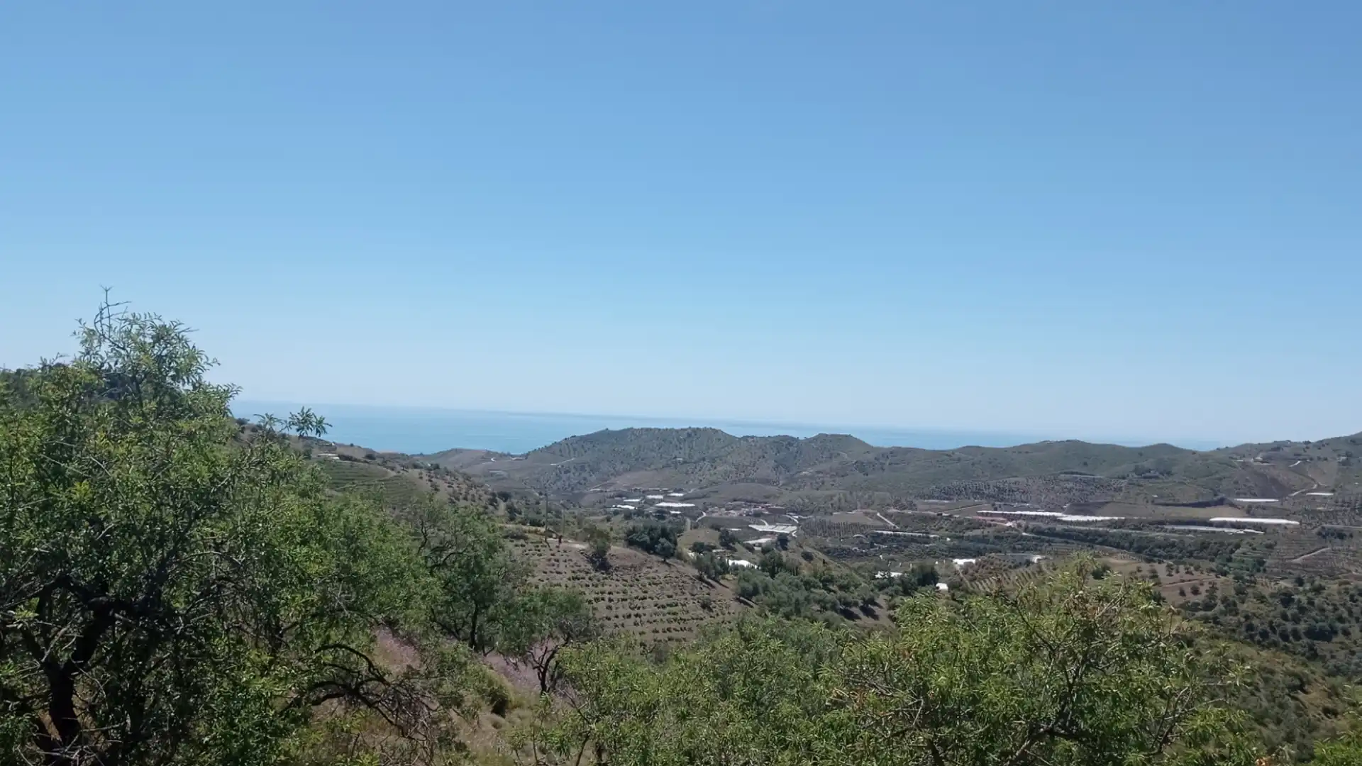 Vista exterior de Terreno en venta en Iznate