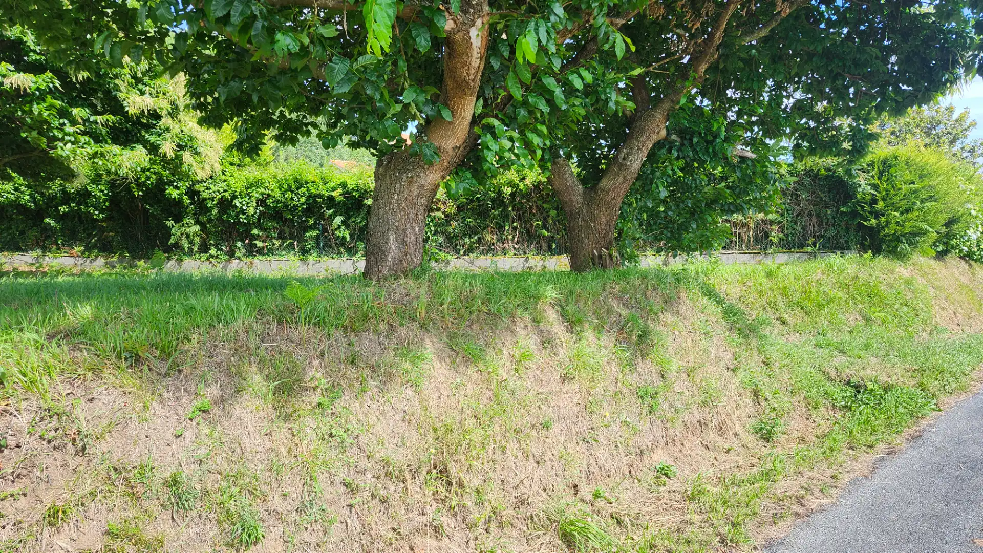 Terreni e lotti in vendita a Lugar Ombre, imagen 30
