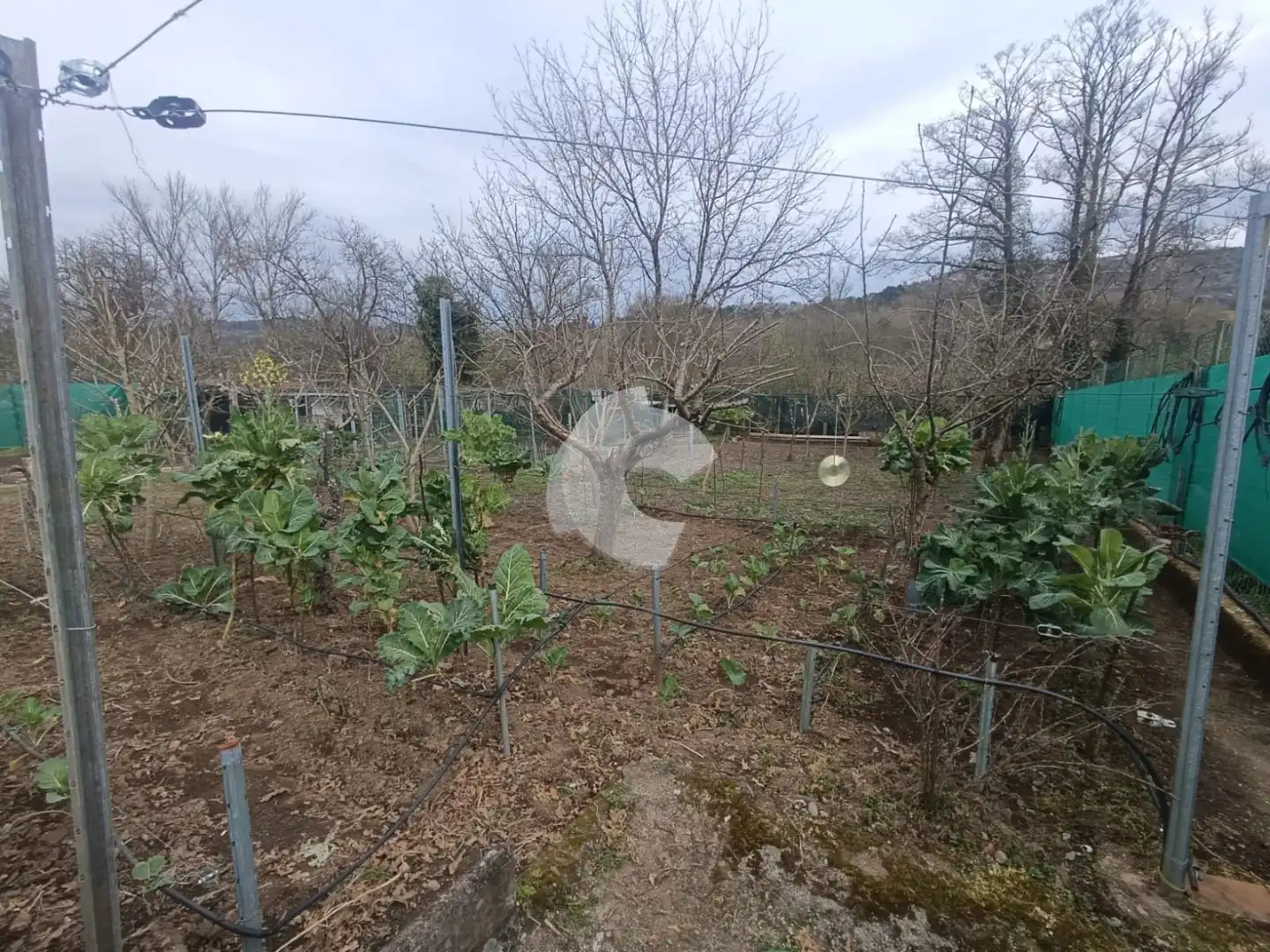 Haus mit Garten zum Verkauf in Leiro, imagen 36