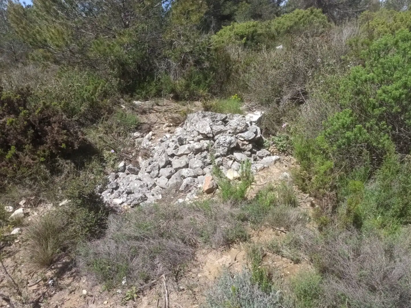 Rural land for sale in Poligono 1, imagen 14