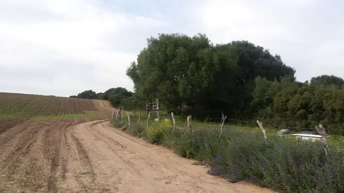 Land for sale in Cádiz