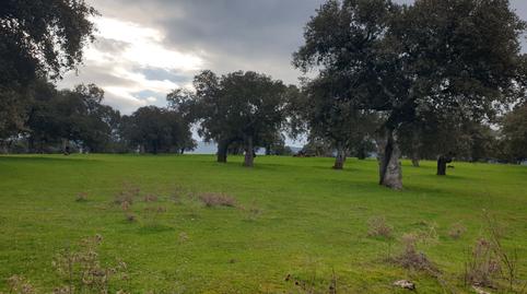 Foto 3 de Terreno en venta en Castilblanco, Badajoz