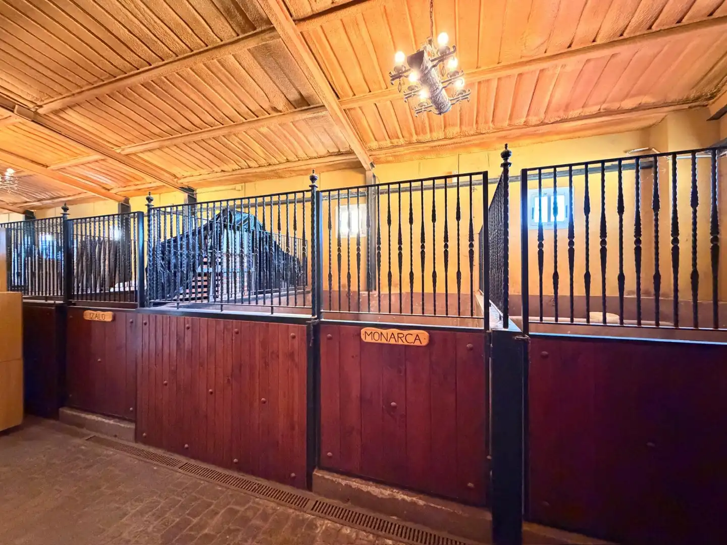 Maison rustique avec piscine à vendre à MARQUESITA - DS BEAL, imagen 69