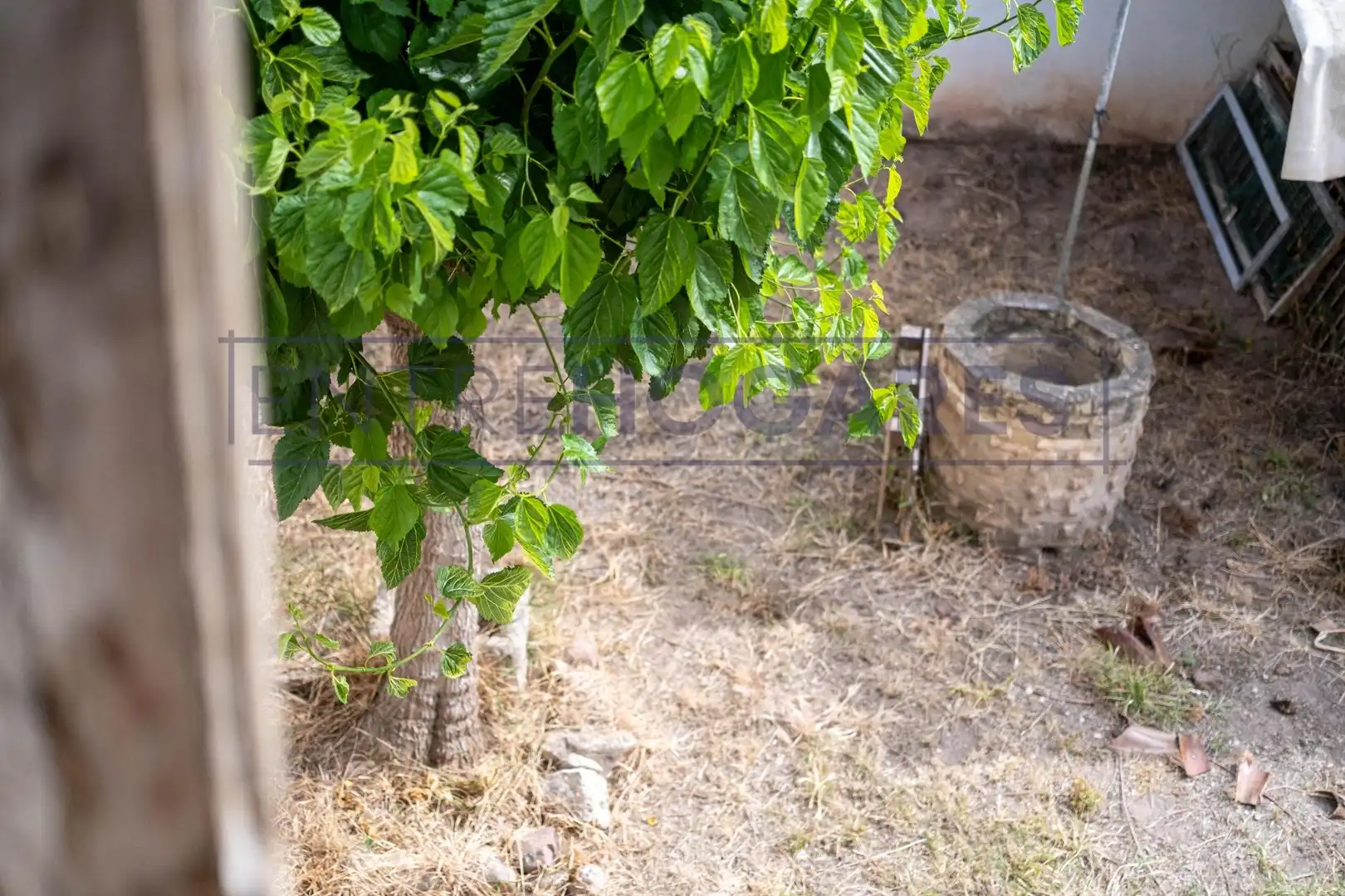 Jardín de Finca rústica en venta en Alfara del Patriarca con Terraza, Trastero y Balcón