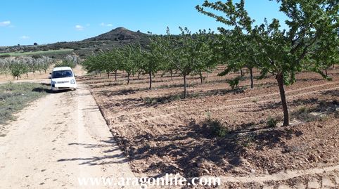 Finca con riego a goteo en Fabara. 16.135m2. 35.000€, immagine 4