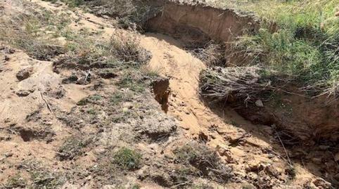 Foto 4 de Residencial en venda a Paraje Toro Mocho Pg 5, Parcela 210 - Hernansancho, -1, Hernansancho, Ávila