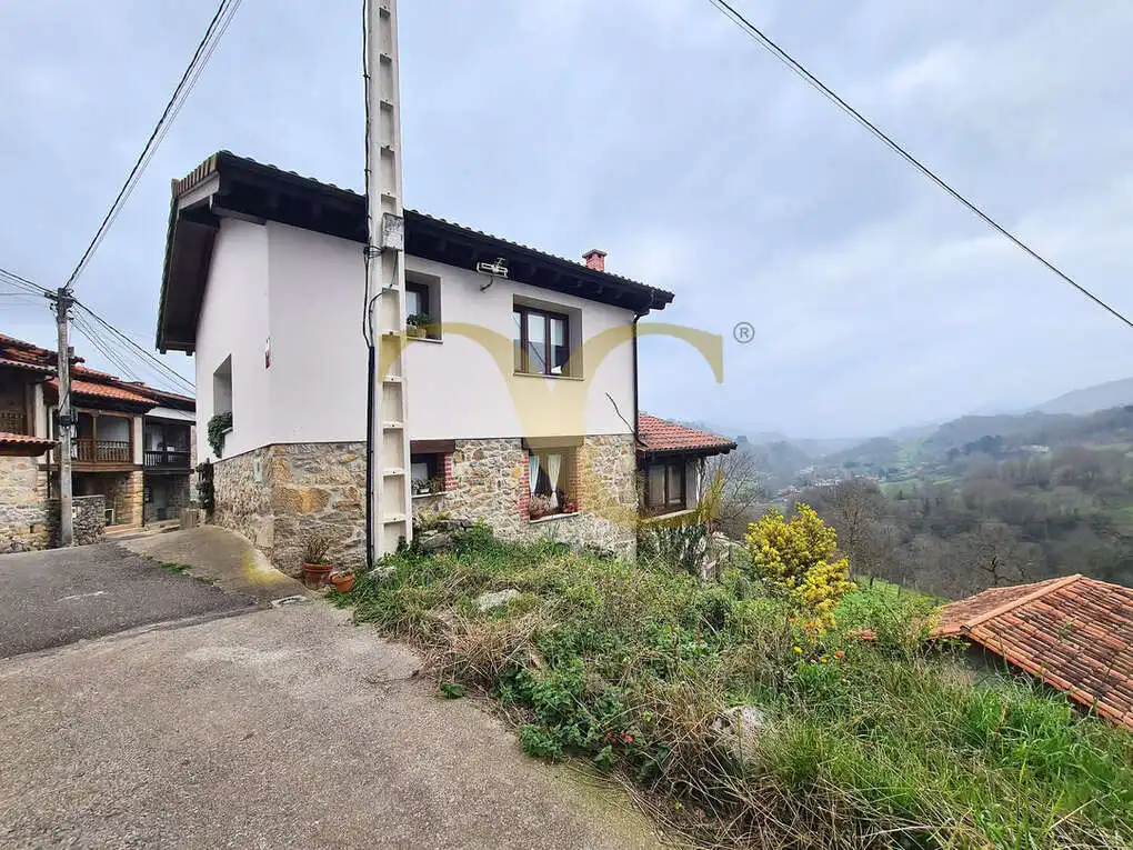 Vista exterior de Casa o xalet en venda en Cangas de Onís amb Calefacció, Jardí privat i Terrassa