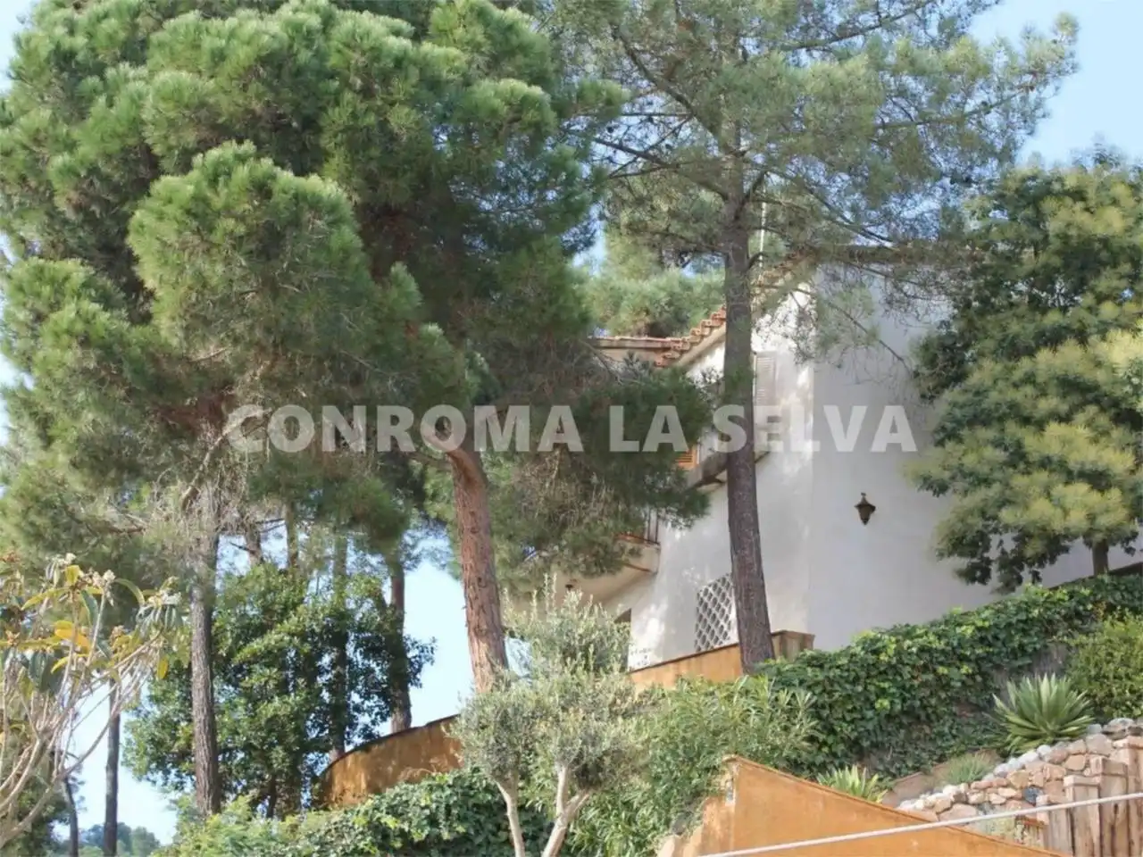 Casa amb jardí en venda a Serra Brava, imagen 10