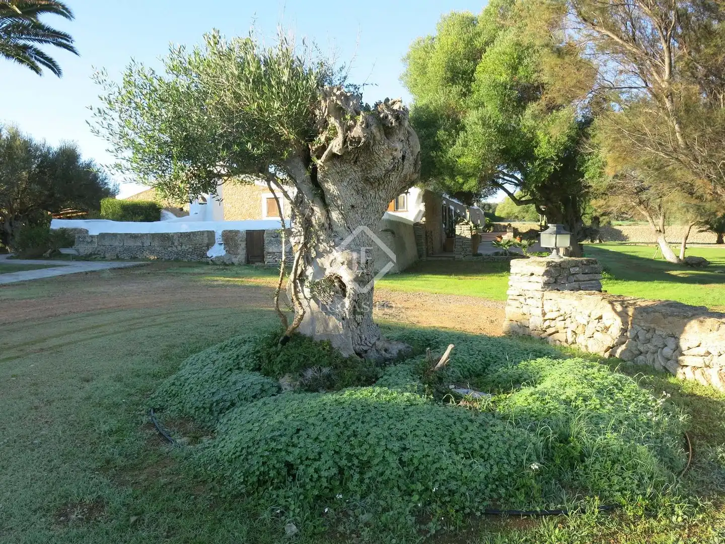 Maison rustique avec piscine à vendre à Alaior poble, imagen 43