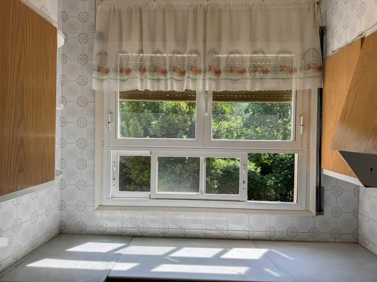 Jardín de Casa o chalet en venta en Arbúcies con Calefacción y Jardín privado