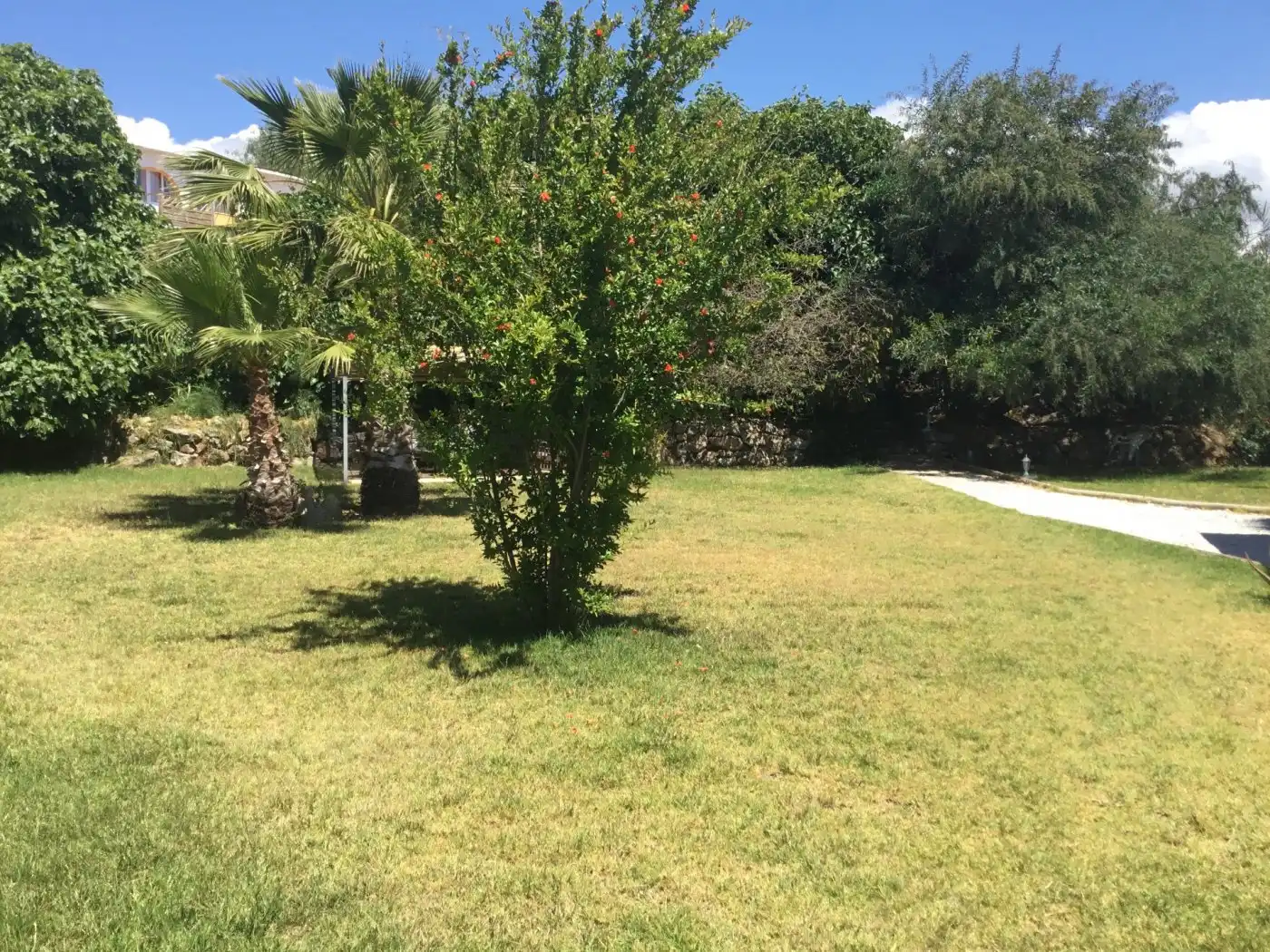Edificio en venta en Almayate