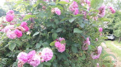 Foto 4 de Casa o xalet en venda a Llanín Llanos, Parroquias Norte, Asturias
