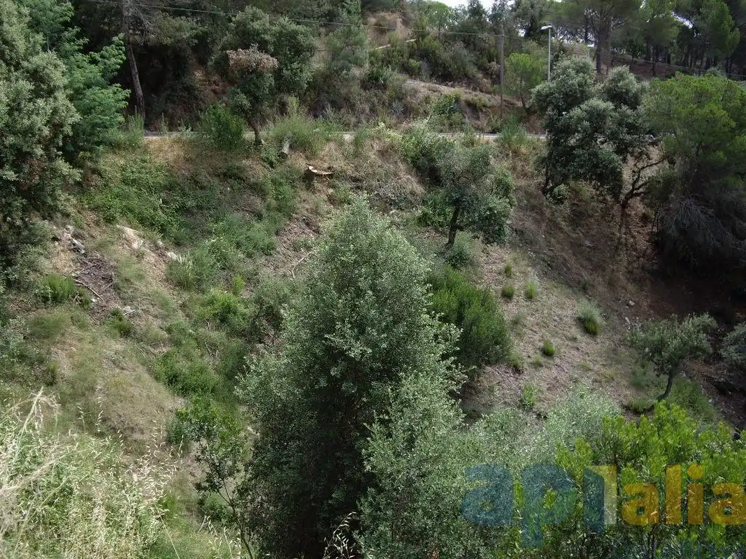 Terreny residencial en venda a Carrer Alzina, imagen 2