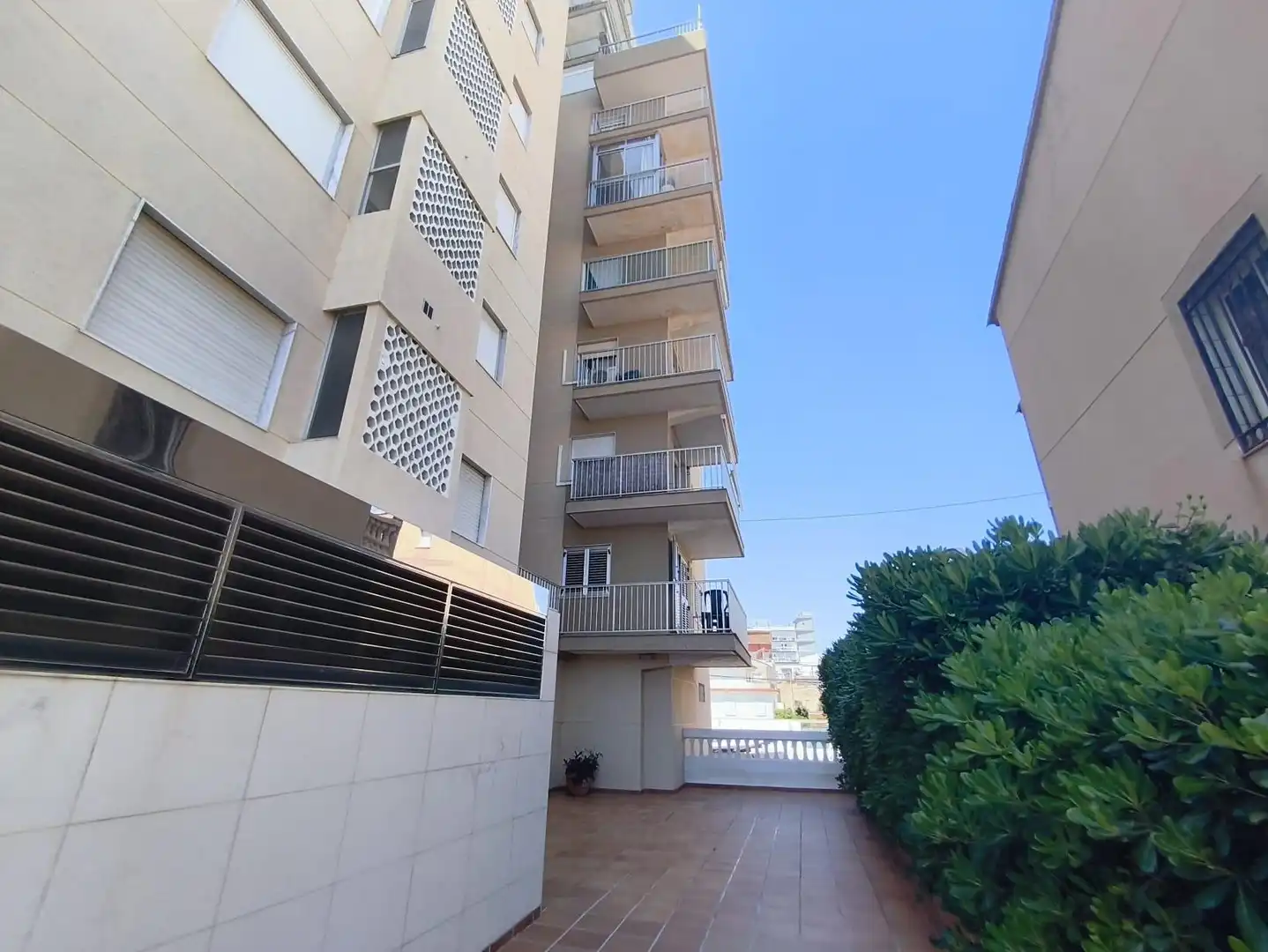 Mini appartamento con terrazza in affitto a Playa de Gandia, imagen 3