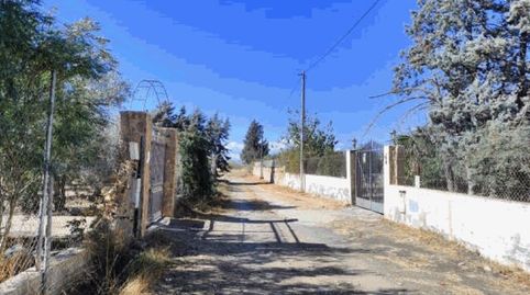 PEDREGALES SN, imagen 2