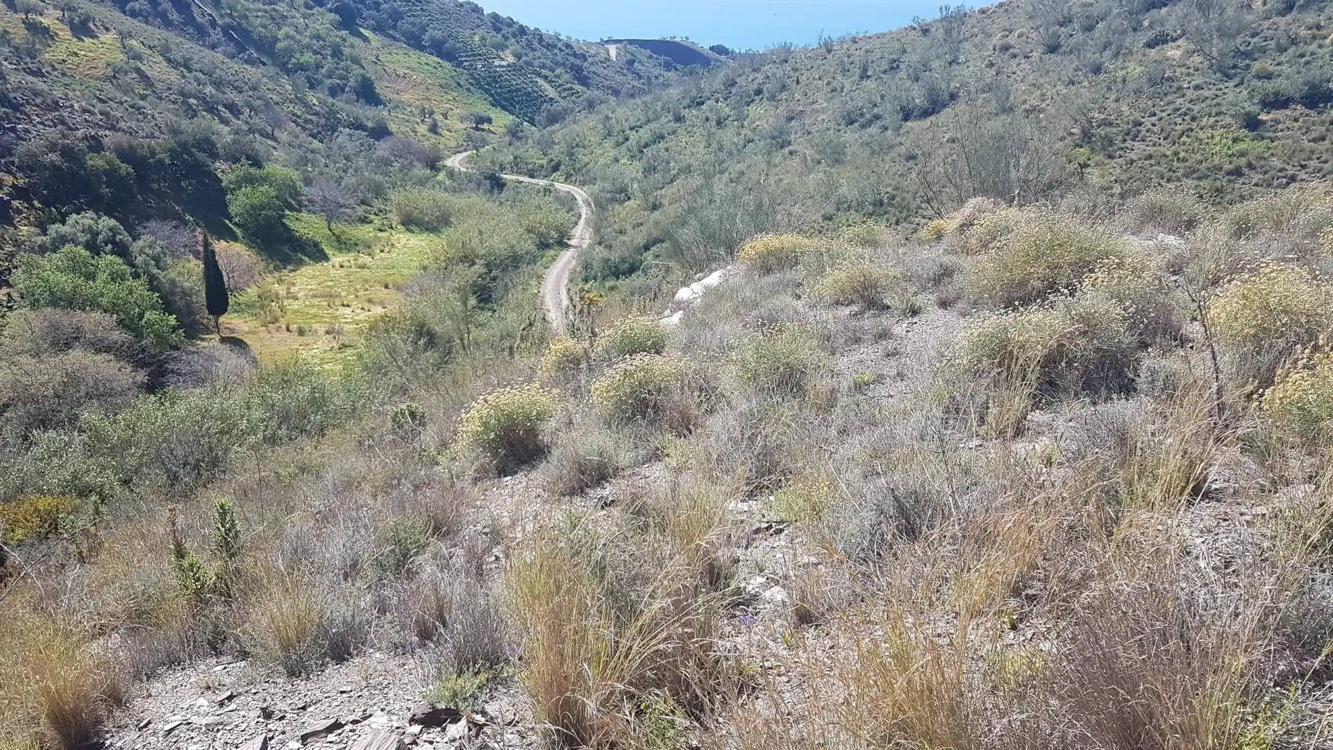 Terreni e lotti in vendita a Los Rueda, imagen 6