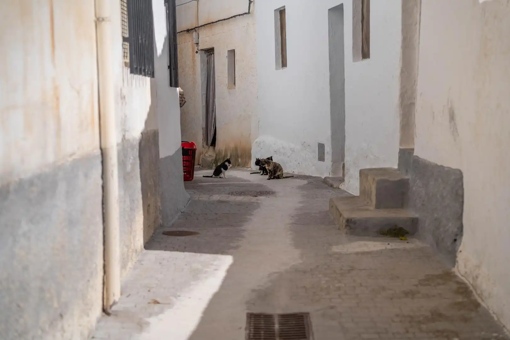 Casa en venta en Calle de La Habana, imagen 69
