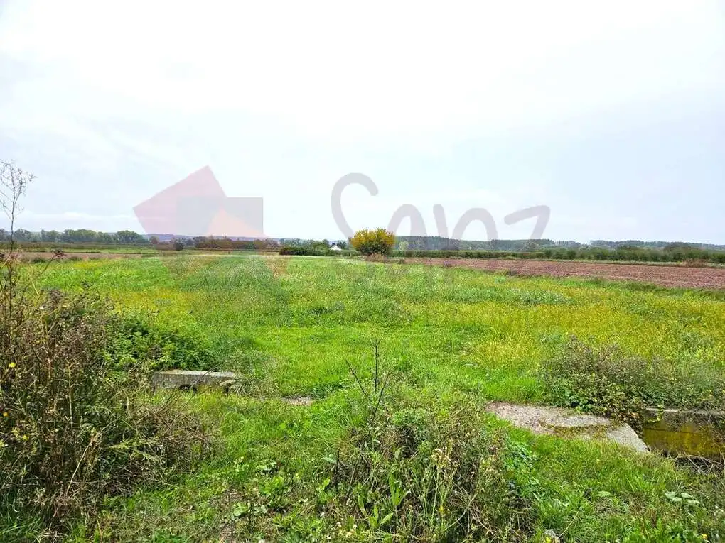 Terreno rustico in vendita a Calle Mayor, imagen 3