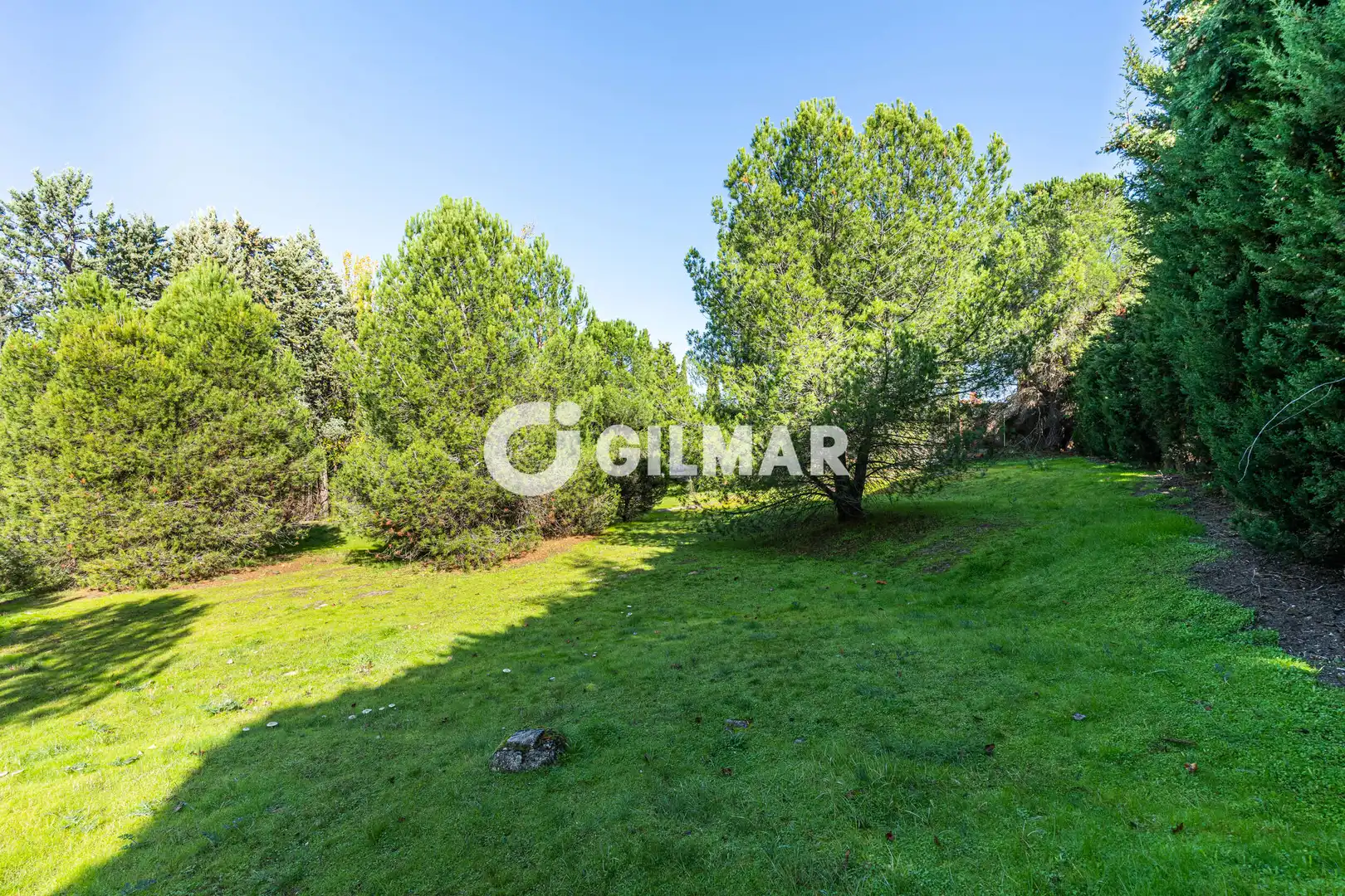 Casa o xalet en venda en Monte Rozas