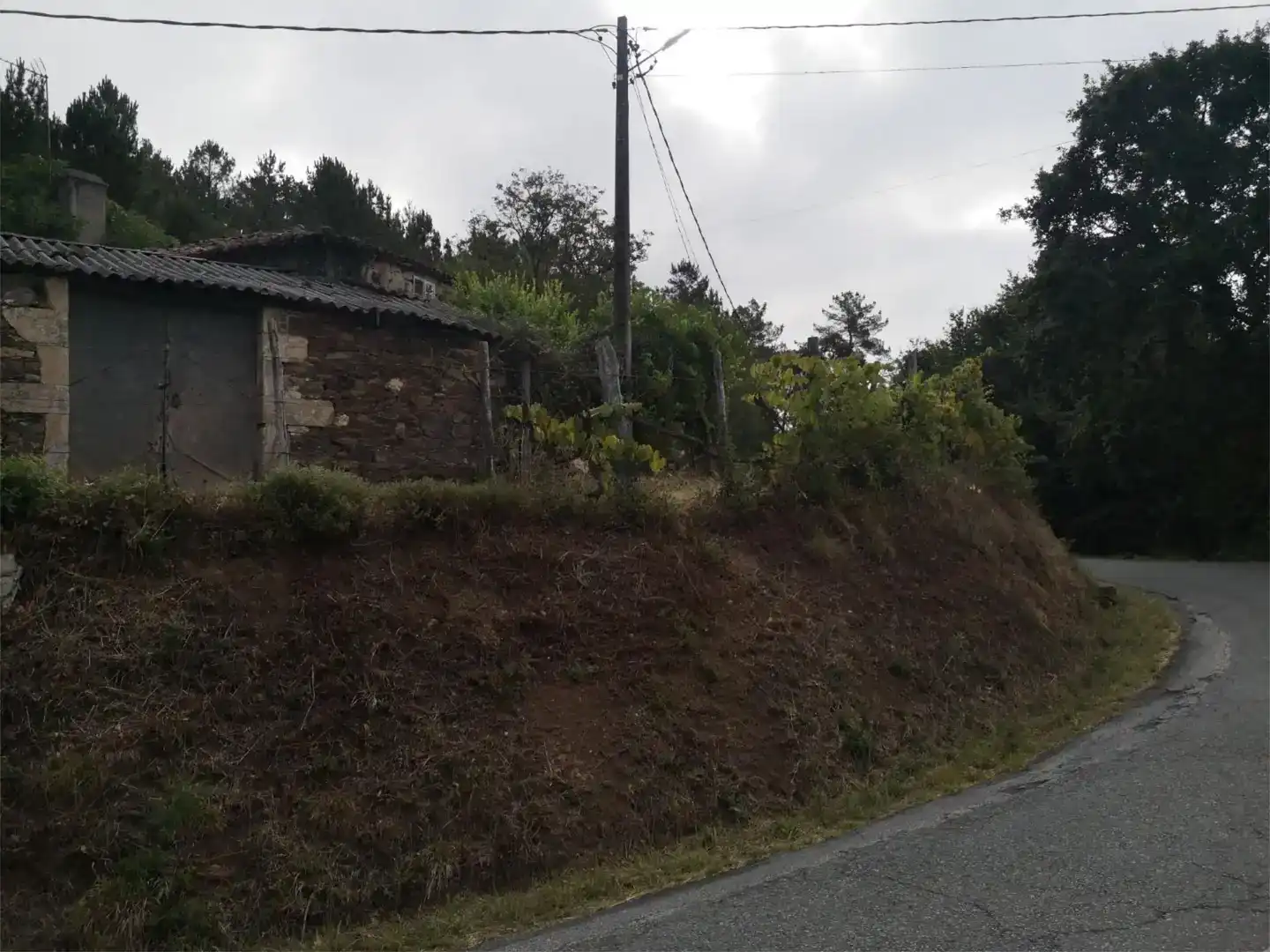 Finca rústica en venda en Vila de Cruces