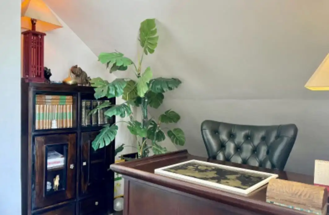 Attique avec terrasse à vendre à Marbella Centro, imagen 10