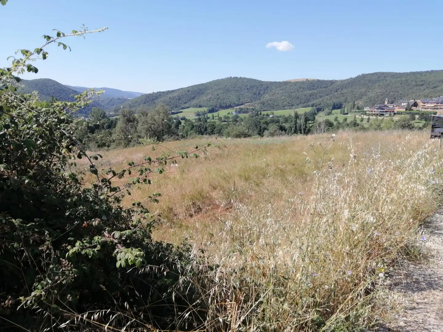 Residential land for sale in Montferrer i Castellbò, imagen 3