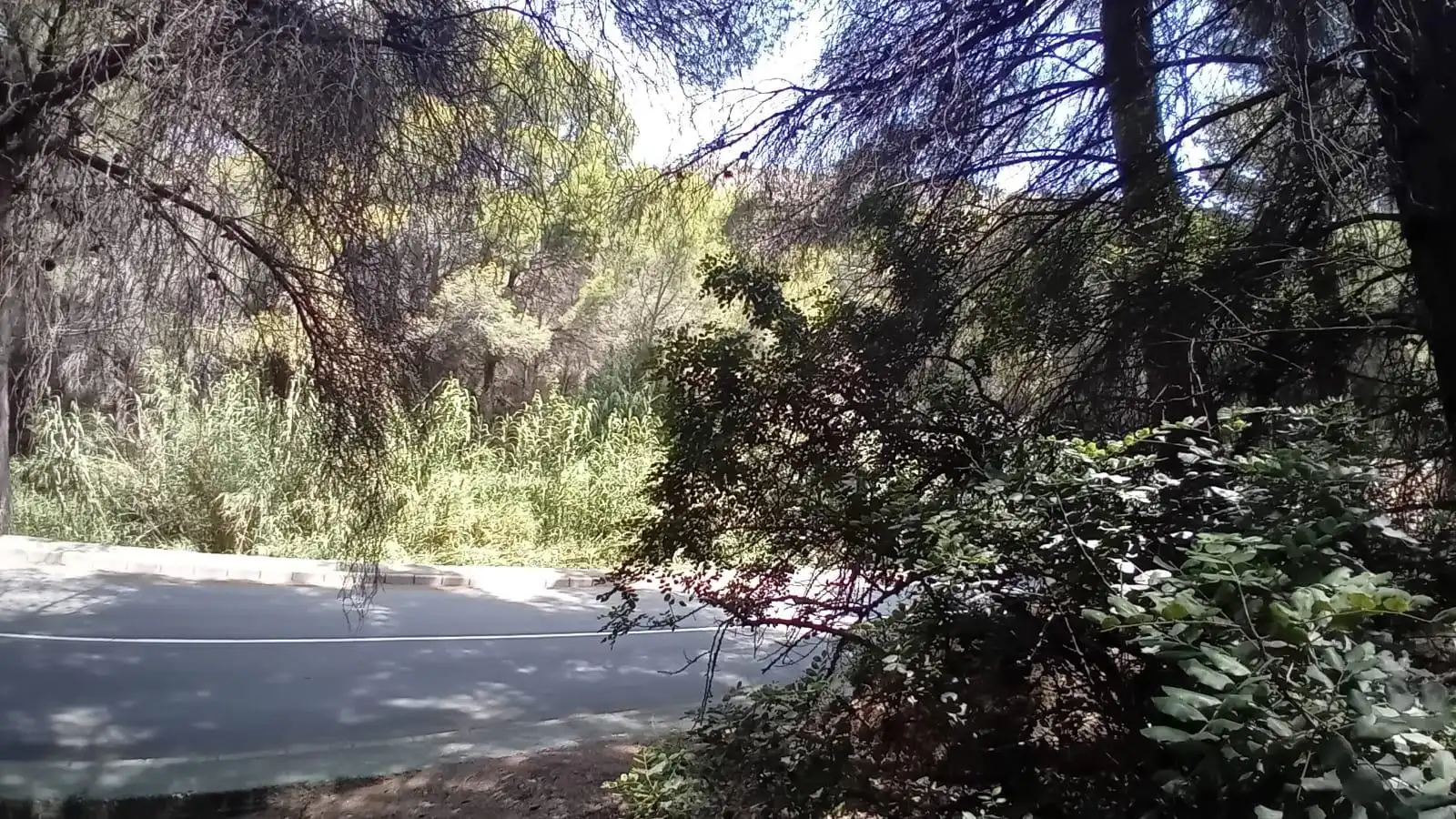 Lands and plots for sale in Mascarat, imagen 12