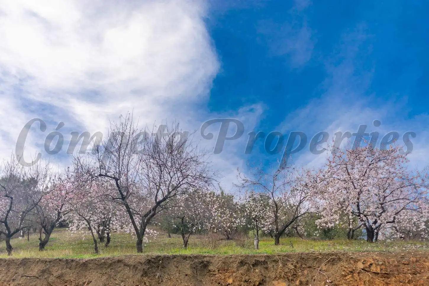 Terreno rustico in vendita a Árchez, imagen 14