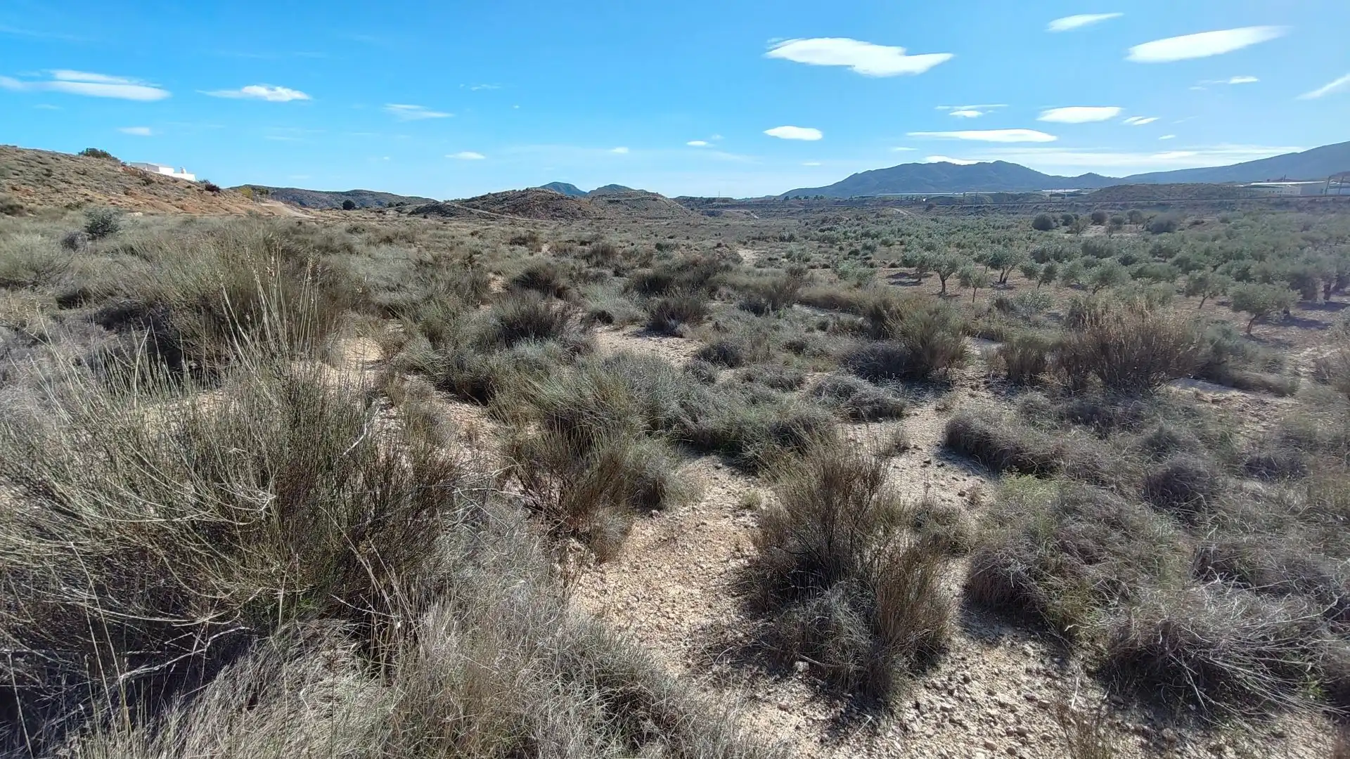 Terreno rustico in vendita a Campo Alto - Club de Campo, imagen 17
