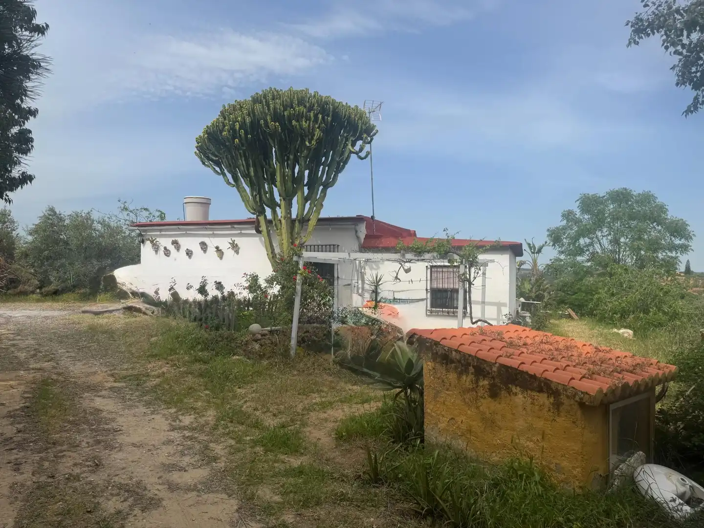 Vista exterior de Finca rústica en venda en Cantillana amb Terrassa