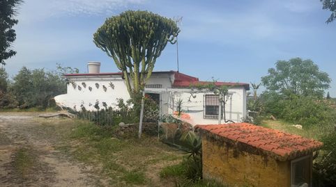 Foto 2 de Finca rústica en venta en Polígono Polígono 9 Paraje 60 Higueron, 15, Cantillana, Sevilla