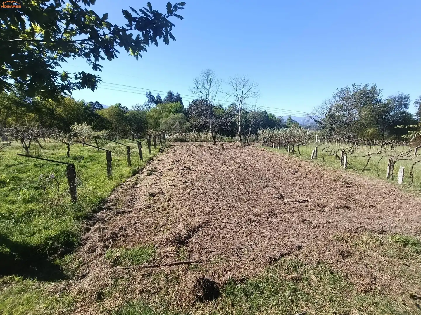 Casa en venta en Salvaterra de Miño, imagen 37