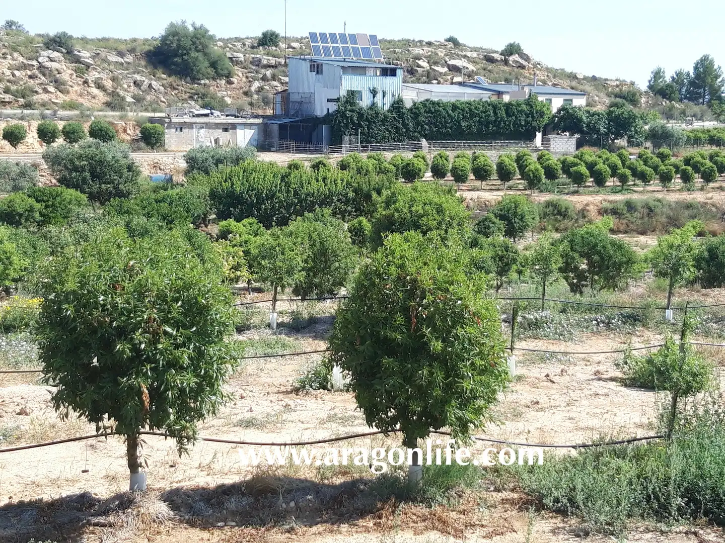 Finca rústica en venta en Caspe con Amueblado