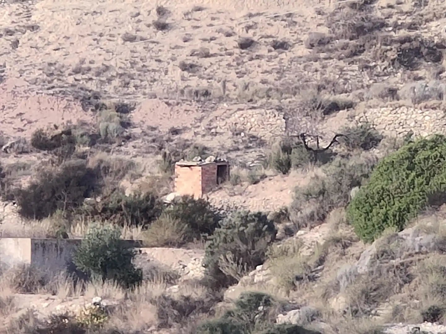 Residential land for sale in Tibi