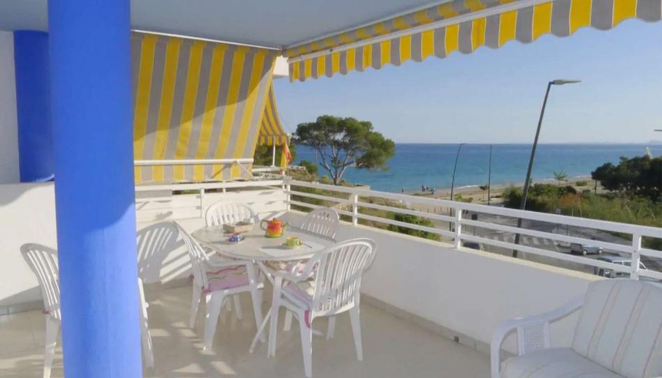 Foto 1 de Estudi per a compartir a Plans - Gasparot, Alicante