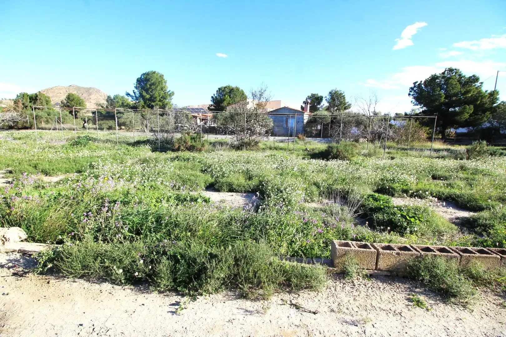 Casa o xalet en venda en Alicante / Alacant