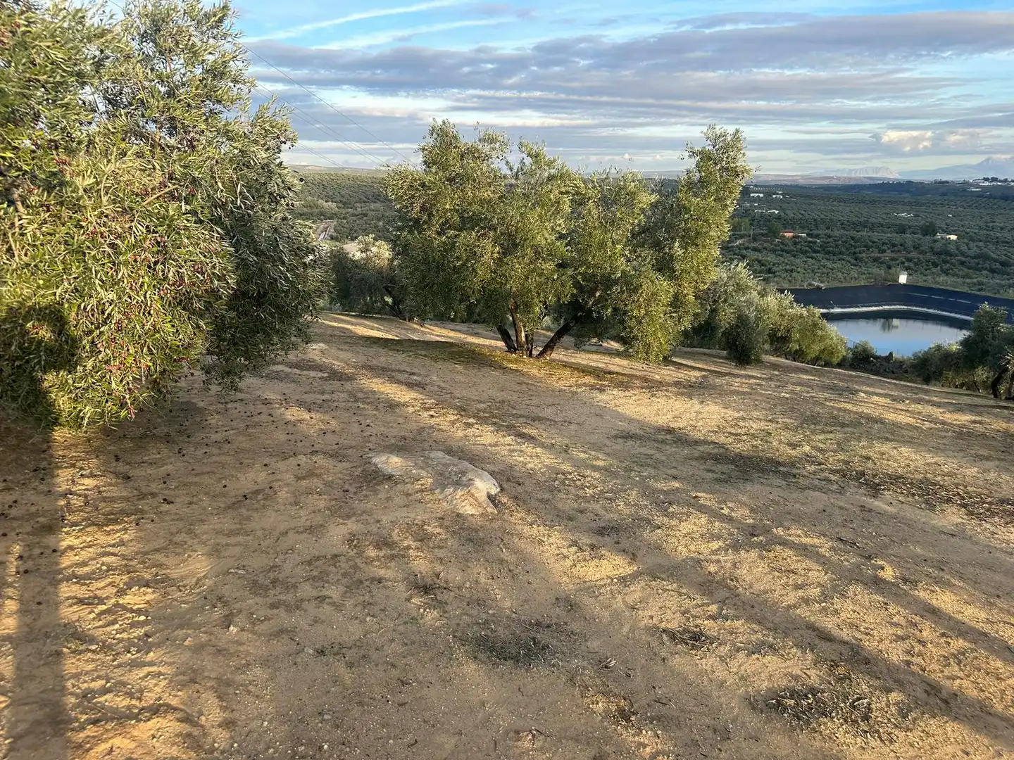 Grundstücke zum Verkauf in Andújar
