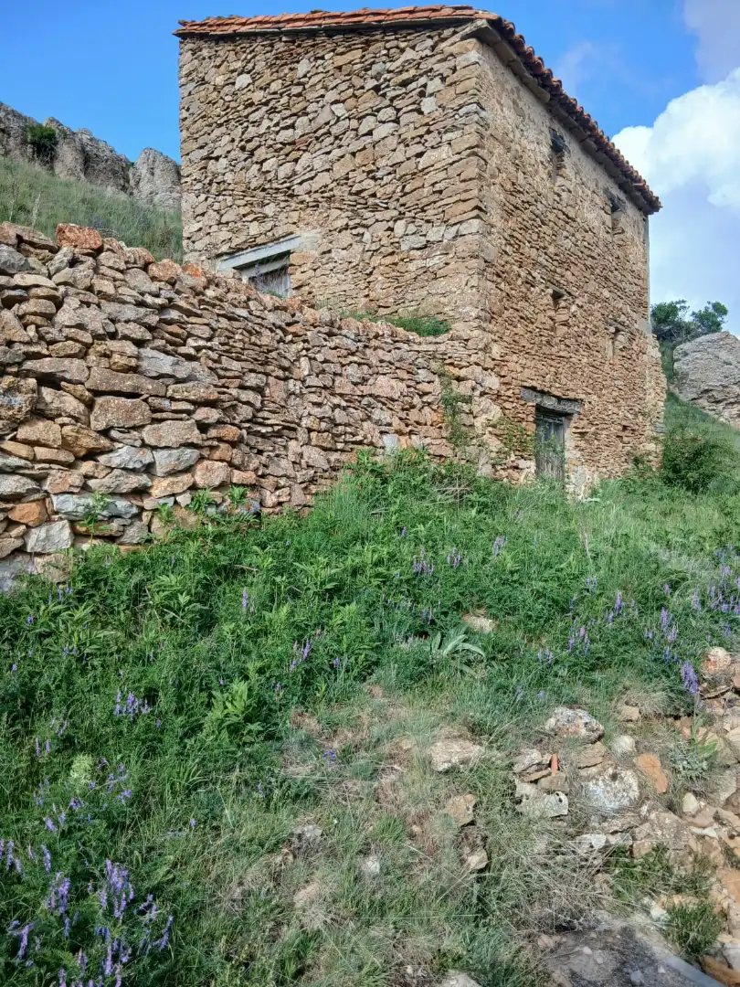 Vista exterior de Casa o chalet en venta en Valdelinares