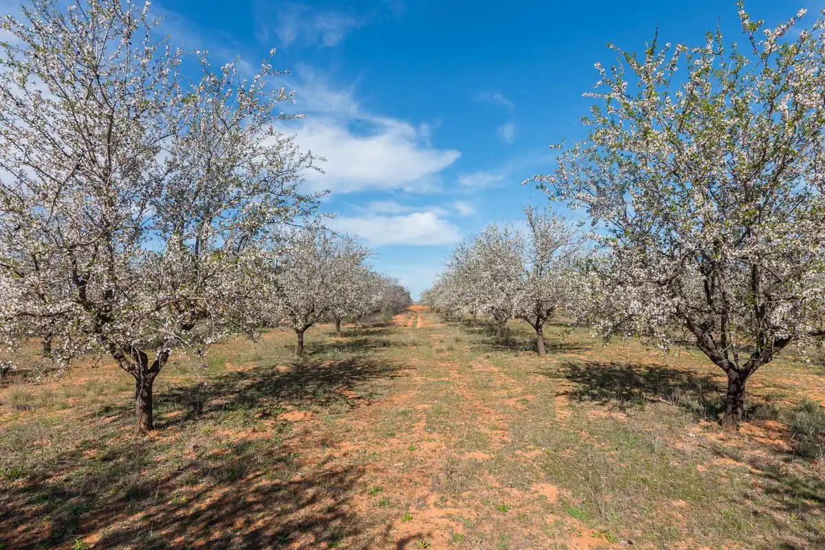 Casa rústica amb jardí en venda a ARDAL. MULA (Murcia), imagen 43