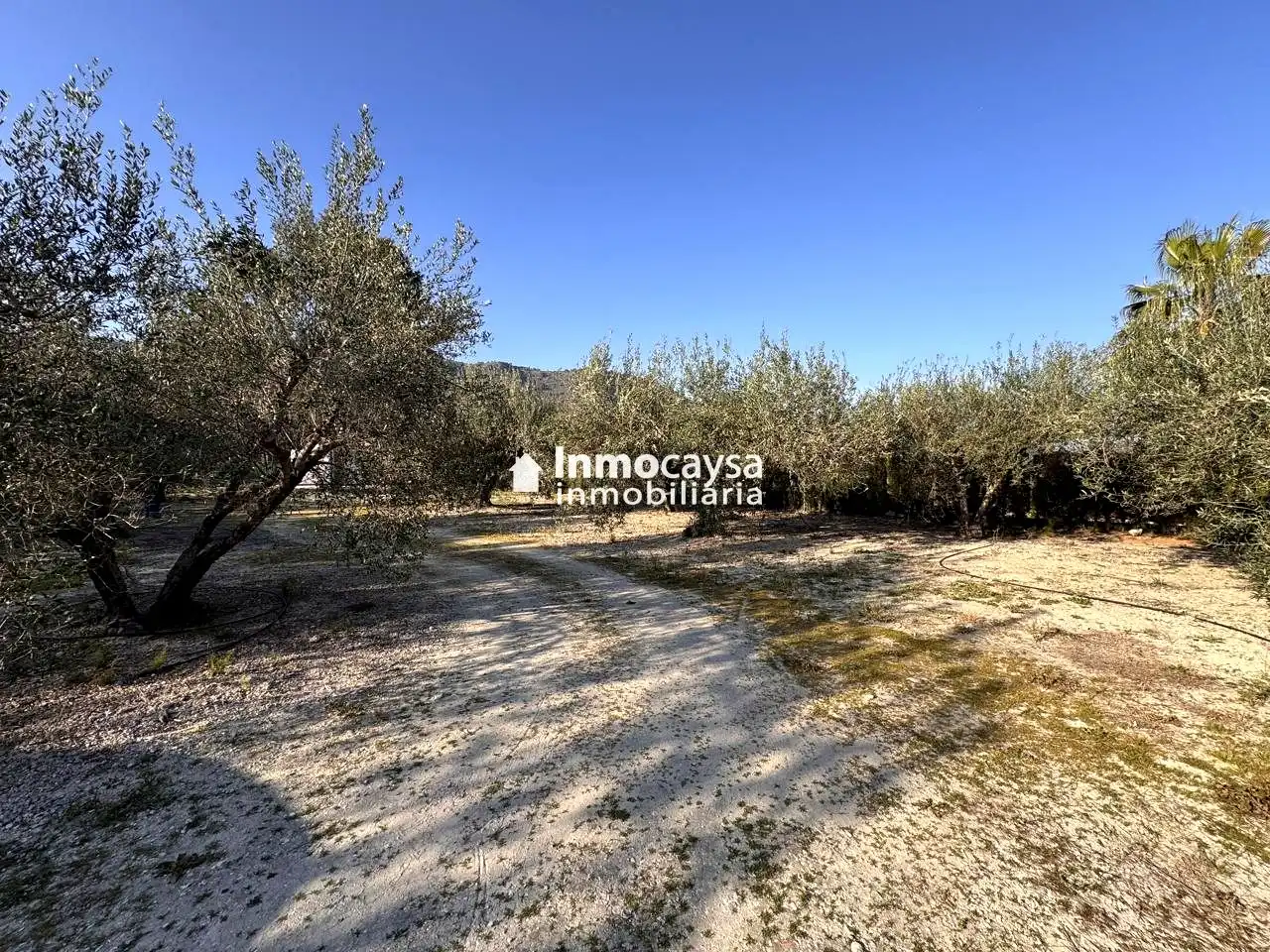 Grundstücke und Bauplätze zum Verkauf in Xàtiva, imagen 19
