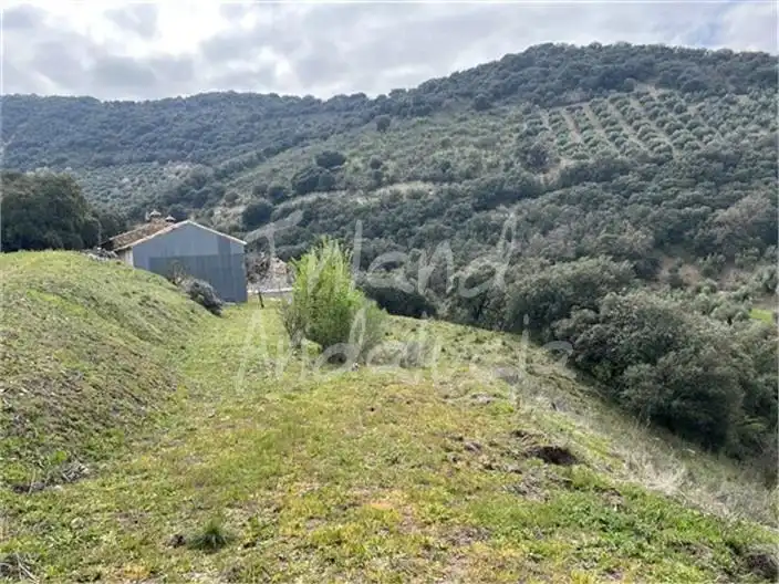 Casa rustica in vendita a Alcalá la Real, imagen 7