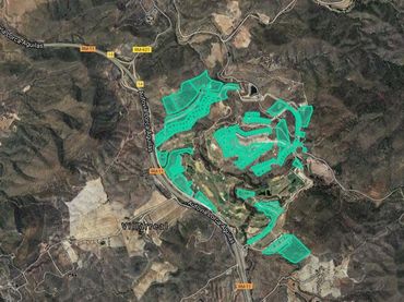 Terreno rustico in vendita a C/ Sector Purias
