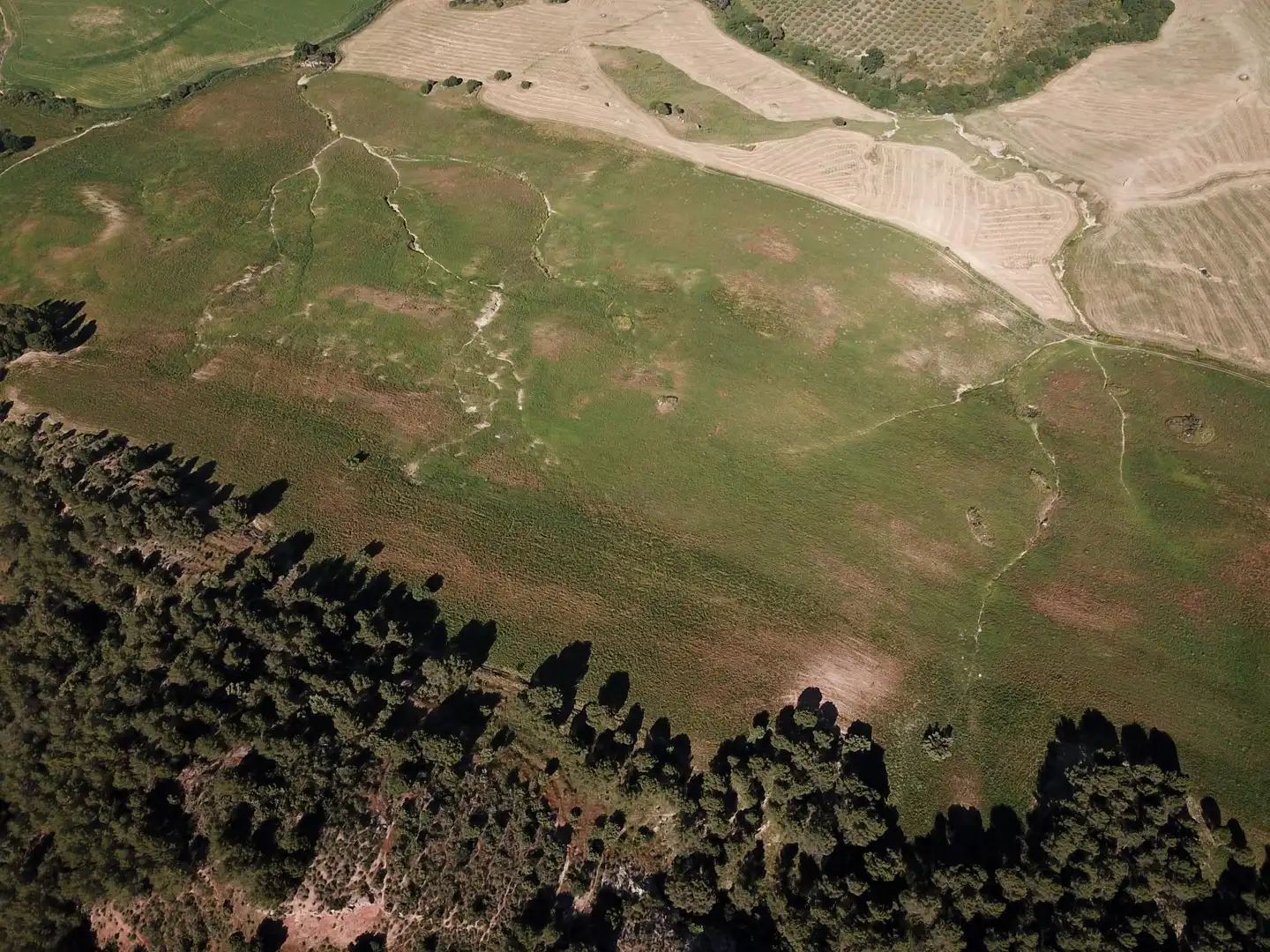 Terreno residenziale in vendita a Ardales, imagen 44