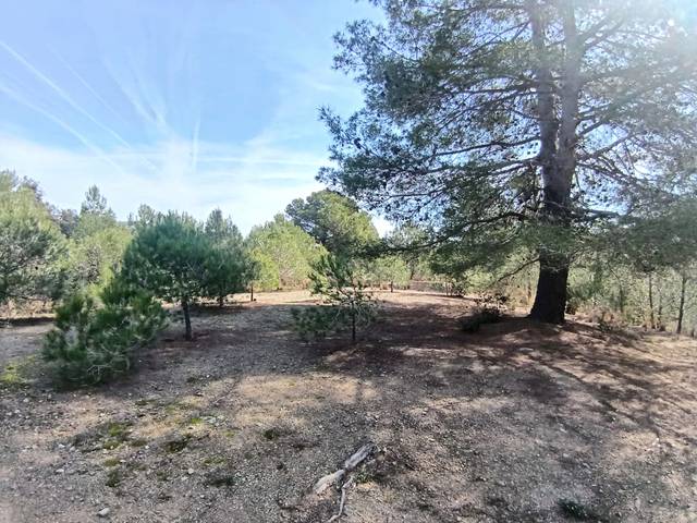 Terreno en Venta en Almoster