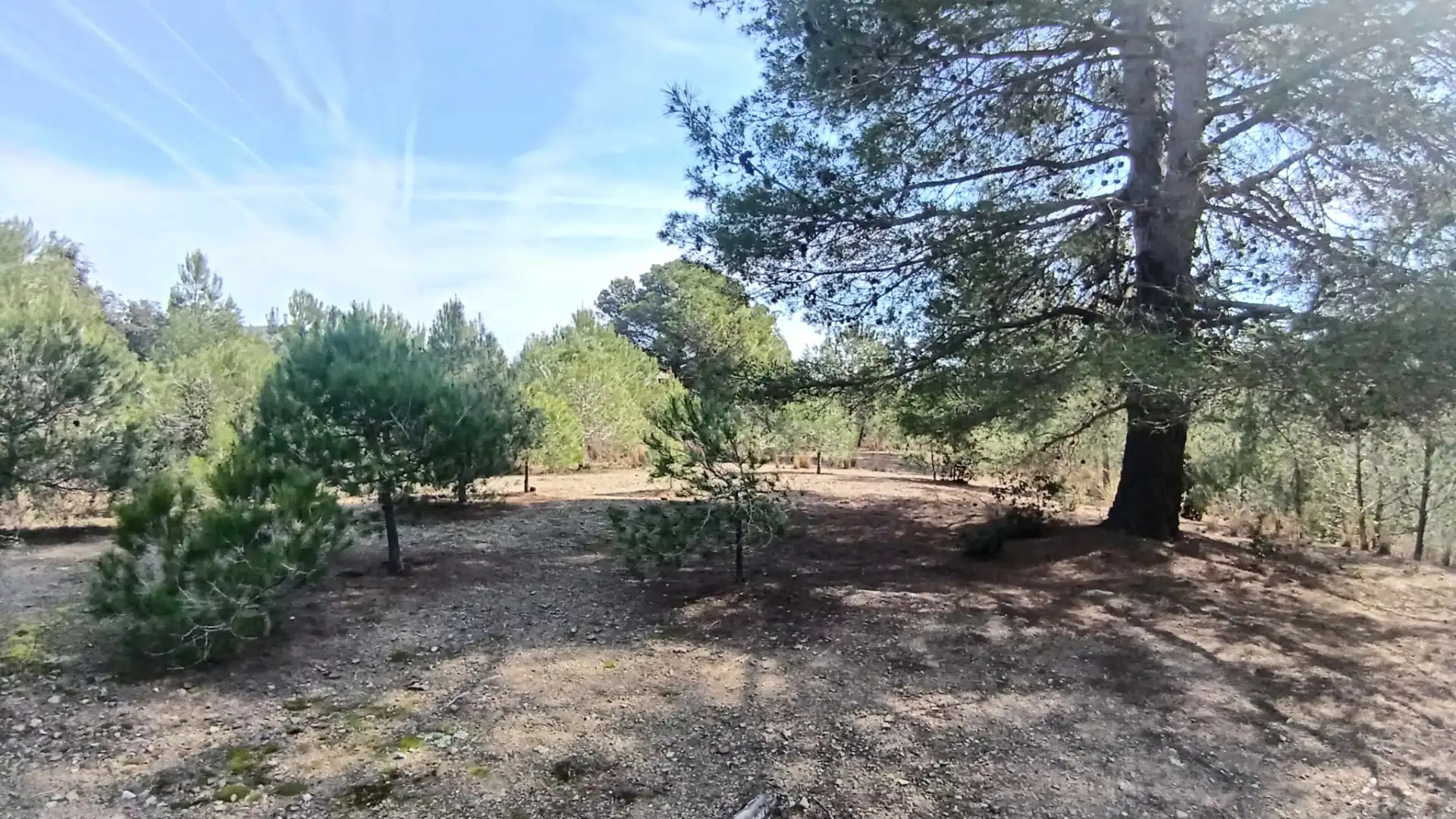 Terreno en venta en Almoster